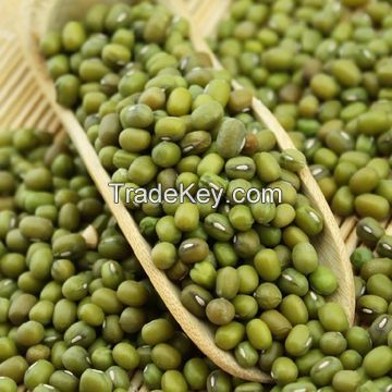 Mung Beans/ 	Vigna Beans