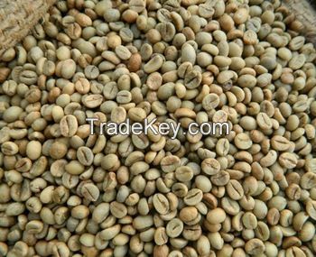 Robusta Coffee Beans 