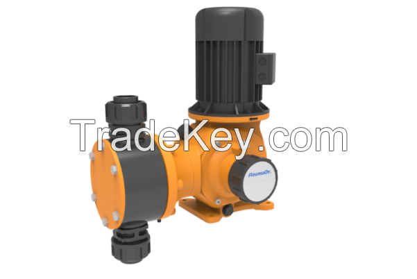 Mechanical Chemical Diaphragm Metering Pump for Water Treatment 