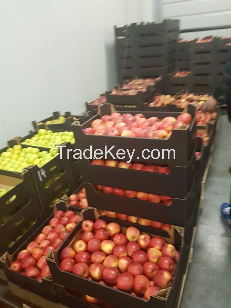 Fresh Apples - Golden/Red