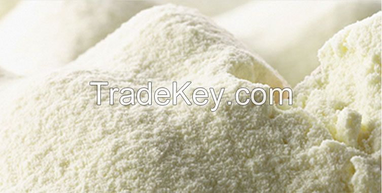 Skimmed Milk Powder / Full Cream Milk