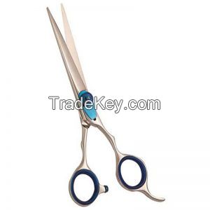 Hair cutting scissors.