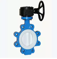 Lug butterfly valves