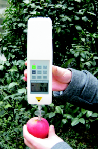 Digital Fruit Sclerometer