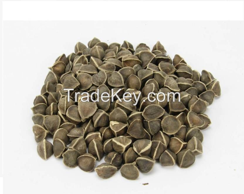 High Quality Moringa Seeds