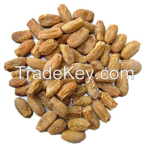 Exotic Dry Dates