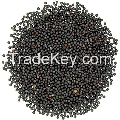 Mustard Seeds / Organic