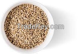 SORGHUM GRAINS