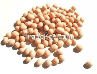 SOYBEANS