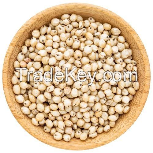 SORGHUM GRAINS