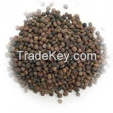 vetch seed