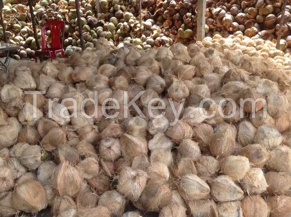 VIETNAM FRESH MATURE COCONUT