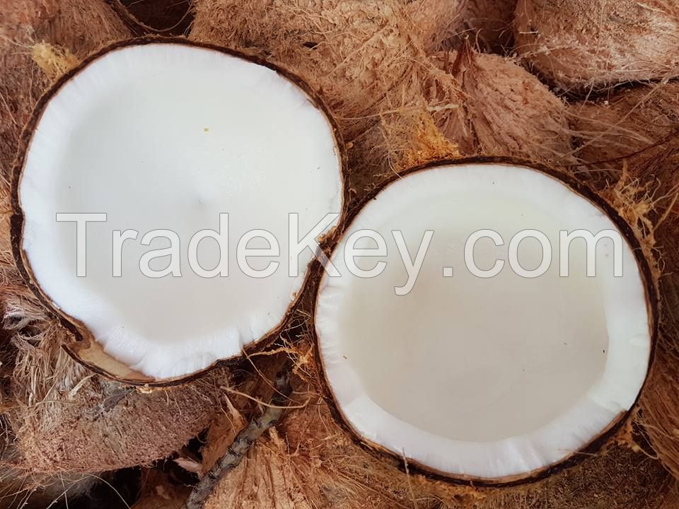 VIETNAM FRESH MATURE COCONUT