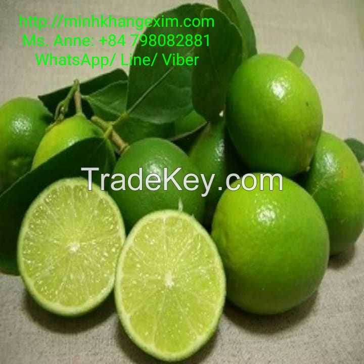 FRESH SEEDLESS LIME// VIETNAM