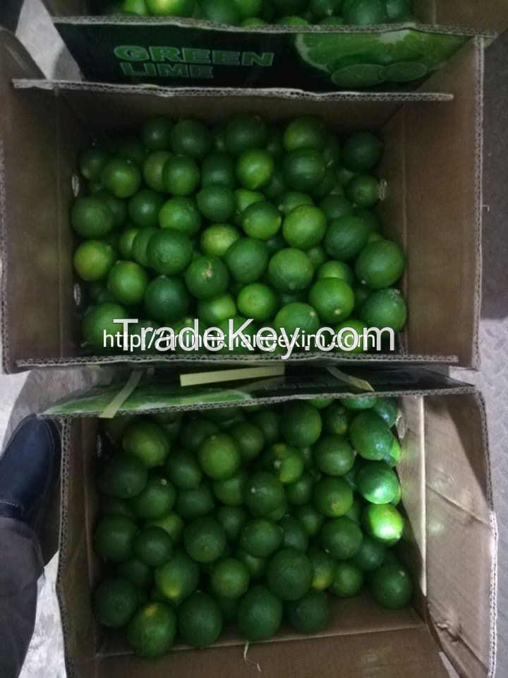 FRESH SEEDLESS LIME// VIETNAM