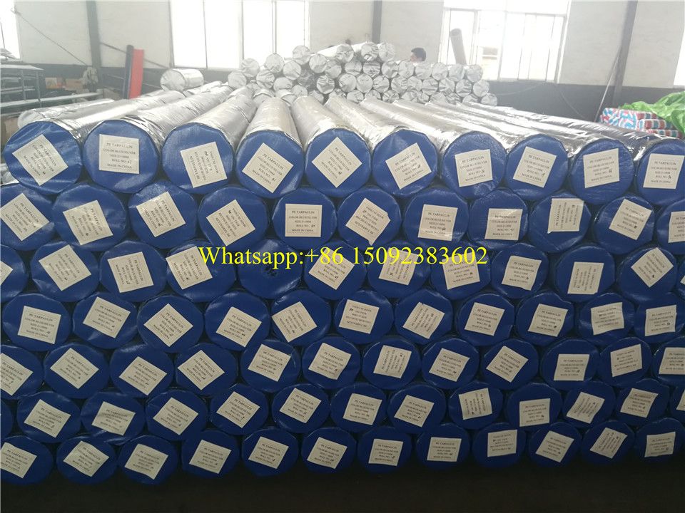 PE Tarpaulin to Bangladesh blue and orange tarpaulin roll