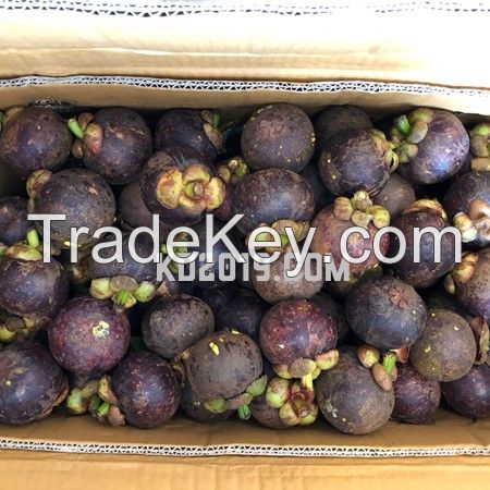 Fresh Mangosteen Fruit From Vietnam