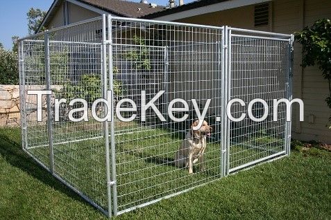 Dog Kennel