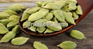 Cardamom