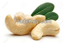 CASHEW NUT