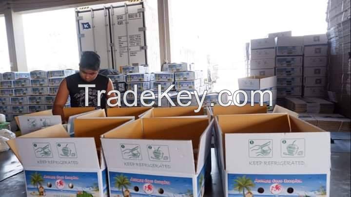 Natural Quality Fresh Young Coconuts from Thailand