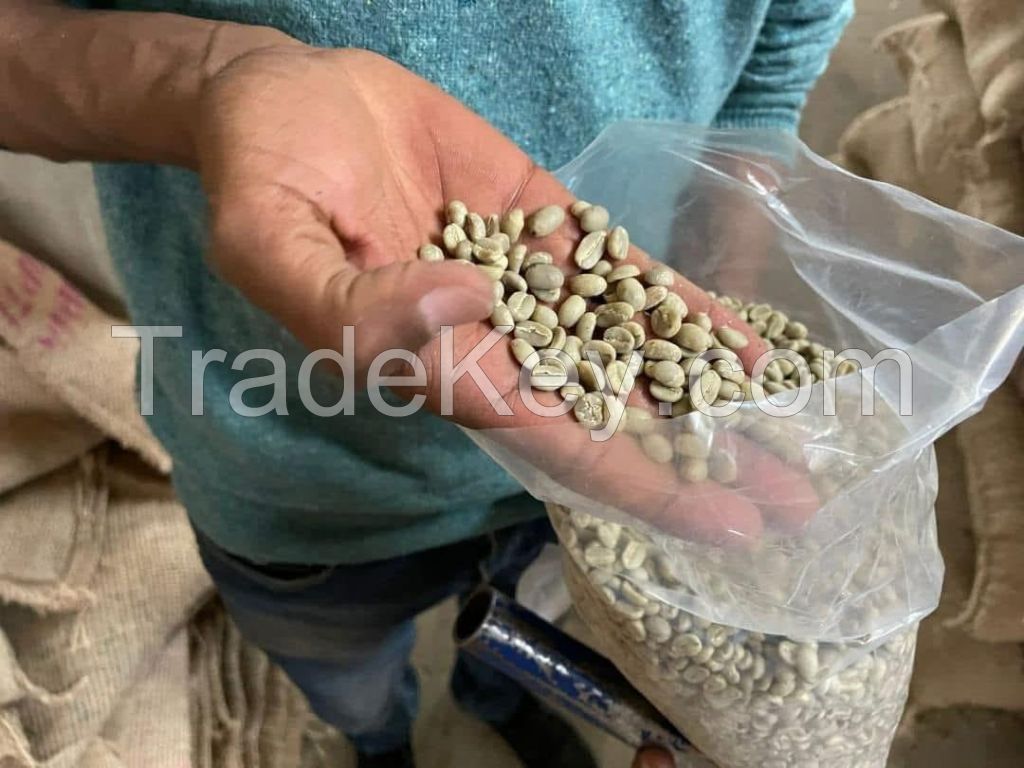 Grade AA Uganda Robusta Coffee beans