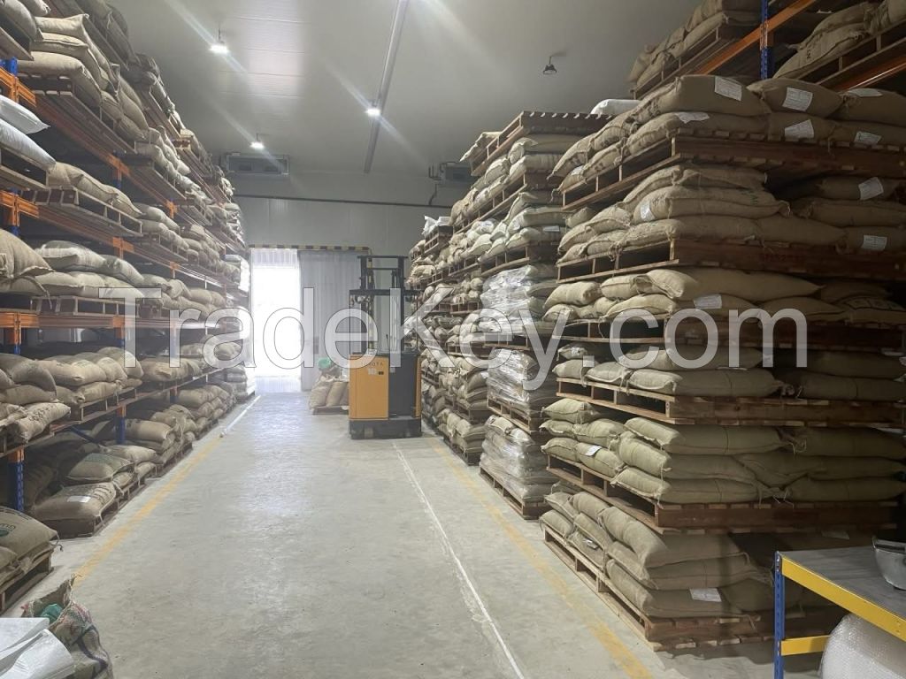 Grade AA Uganda Robusta Coffee beans