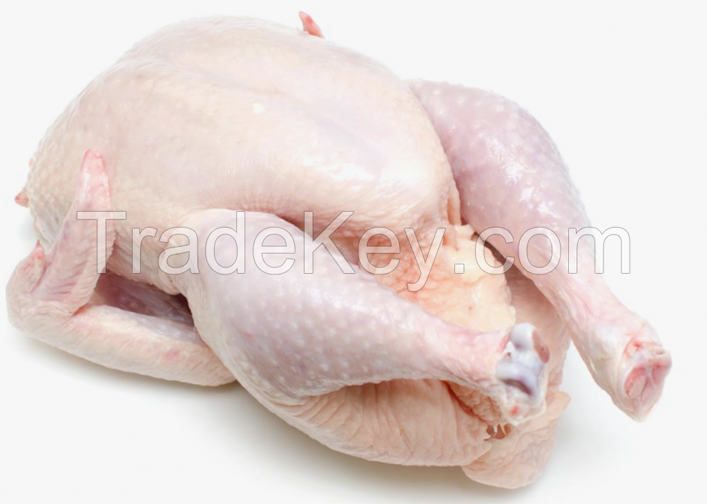 Whole Frozen Chicken and Chicken Parts, Halal Frozen Chicken, Quality Whole Chicken, Frozen Chicken, Export Quality Chicken