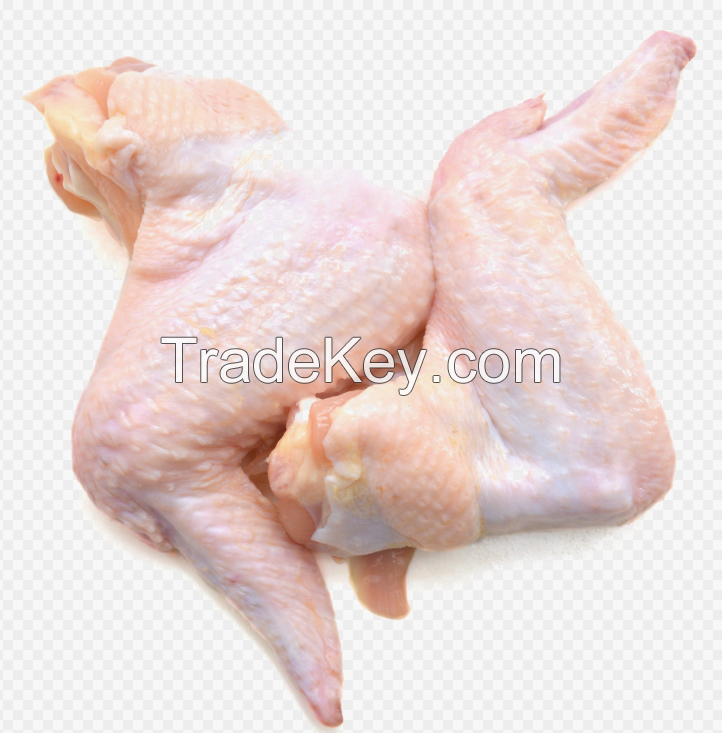 Whole Frozen Chicken and Chicken Parts, Halal Frozen Chicken, Quality Whole Chicken, Frozen Chicken, Export Quality Chicken