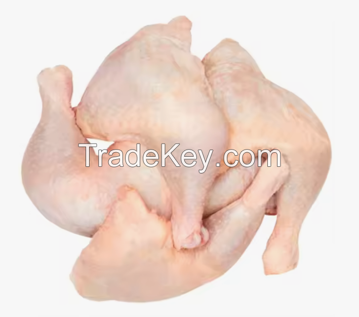 Whole Frozen Chicken and Chicken Parts, Halal Frozen Chicken, Quality Whole Chicken, Frozen Chicken, Export Quality Chicken
