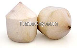 ORGANIC FRUIT FRESH TROPICAL FRUIT IN VIET NAM FRESH YOUNG COCONUT 