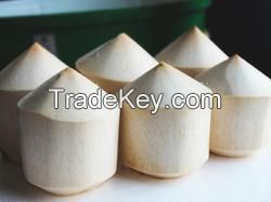 ORGANIC FRUIT FRESH TROPICAL FRUIT IN VIET NAM FRESH YOUNG COCONUT 