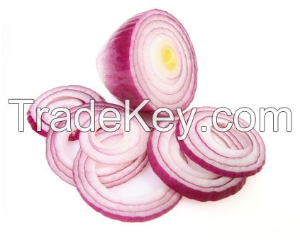 Fresh Onions