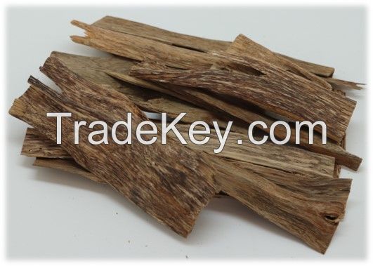 Cultivated Agarwood Oudh Oud