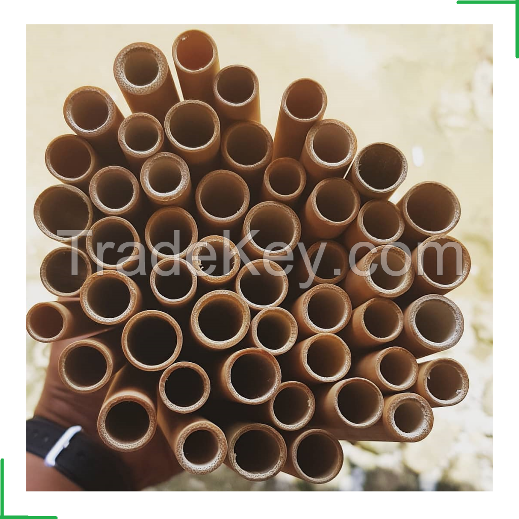 100% Natural from Vietnam Bamboo Trees Bamboo Reusable Drinking Straws