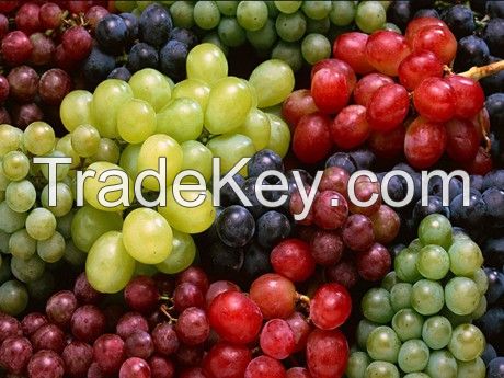 Fresh Grape (Green &Crimson )