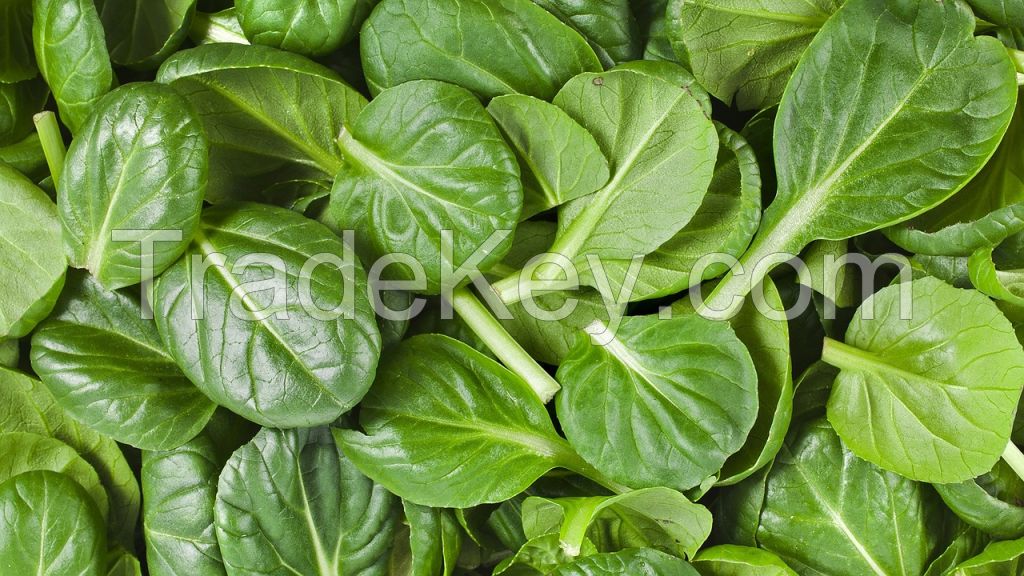 Spinach