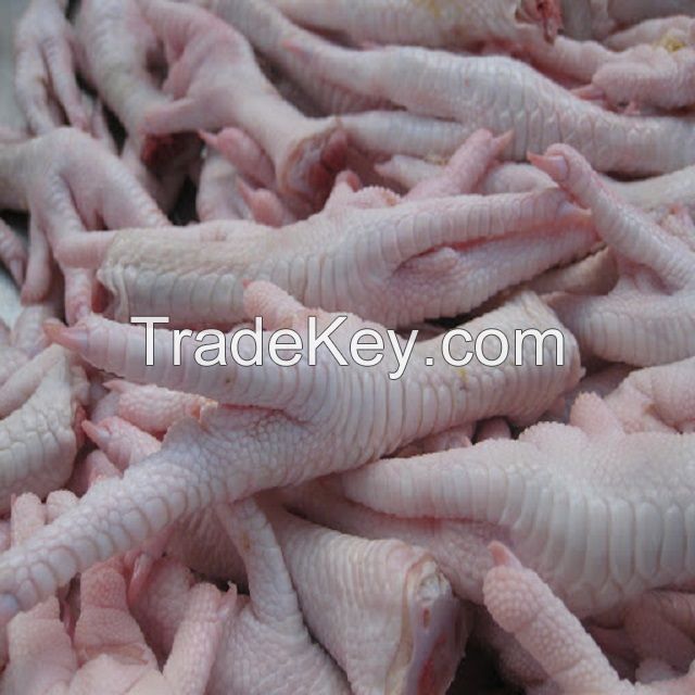 Best quality Grade A Frozen Chicken Paw