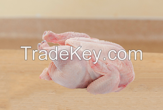 Buy Grade A Frozen whole chicken