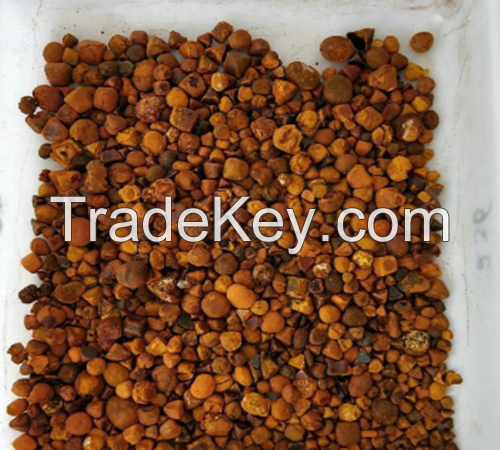 Quality Cow Ox Gallstones / Cattle gallstones