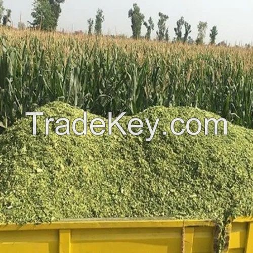 quality silage bags corn animal feed yellow agriculture storage corn silage bag for cattle