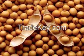 Soybeans | Non-GMO Soybeans