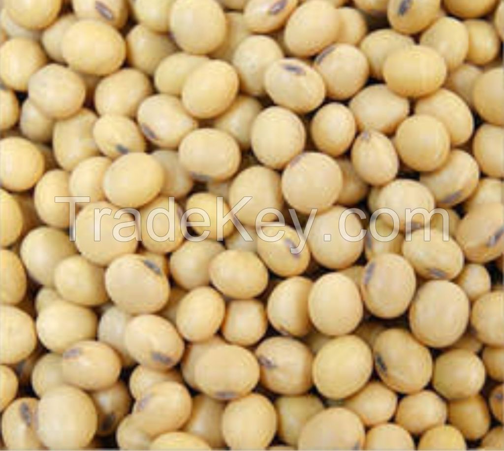 Soybeans | Non-GMO Soybeans