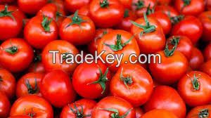 tomatoe