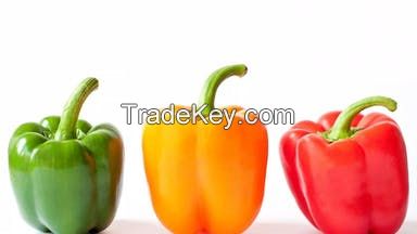 Bell pepper