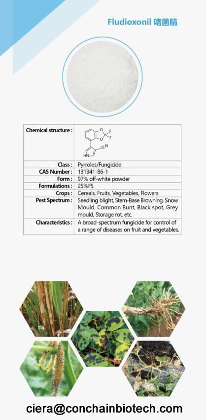 97% Fludioxonil TC