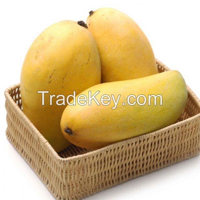 Chaunsa Mango