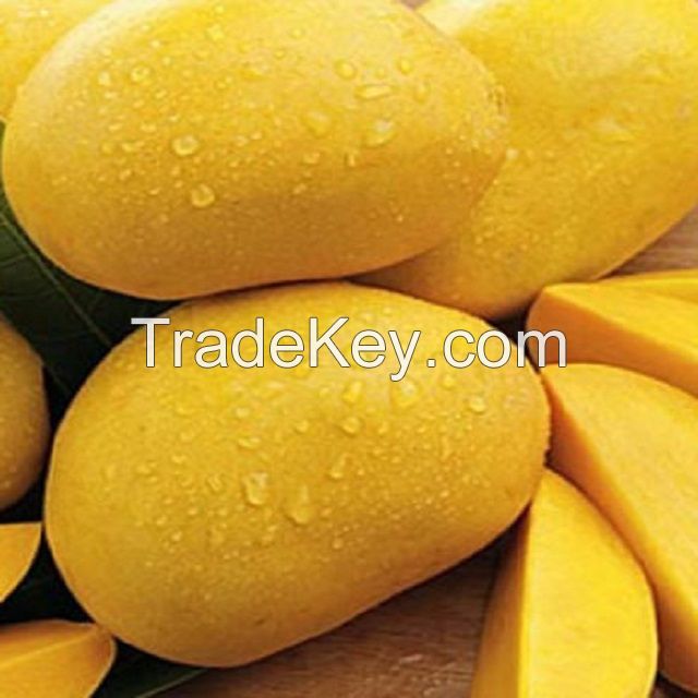 Fresh Mangoes