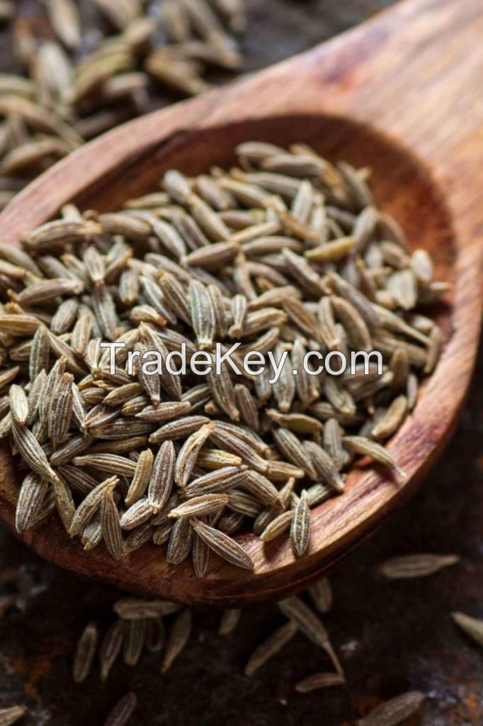 Cumin Seeds