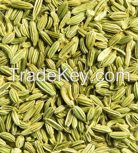 Fennel Seeds